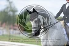 ref. photo 3740382