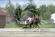 ref. photo 3740446
