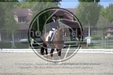 ref. photo 3740453