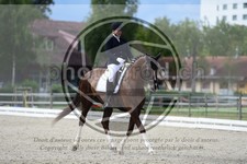 ref. photo 3740461