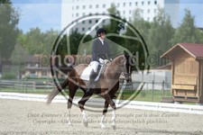 ref. photo 3740467
