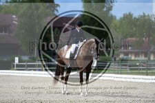 ref. photo 3740479