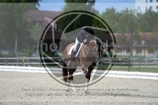 ref. photo 3740482