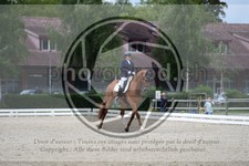 ref. photo 3740728