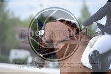 ref. photo 3740731