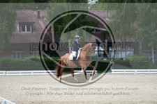 ref. photo 3740741