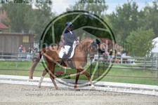ref. photo 3740746