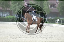 ref. photo 3740754