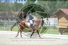 ref. photo 3740764