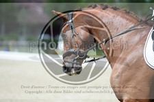 ref. photo 3740766