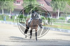 ref. photo 3740899