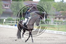 ref. photo 3740909