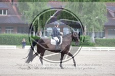 ref. photo 3740917
