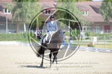 ref. photo 3740947