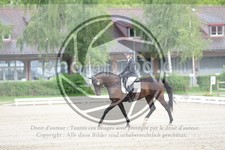 ref. photo 3741157