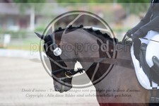 ref. photo 3741176