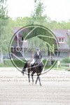 ref. photo 3741189