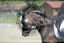 ref. photo 3741193