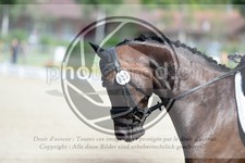 ref. photo 3741223
