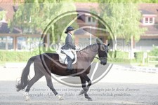ref. photo 3741250