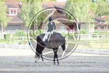 ref. photo 3741259