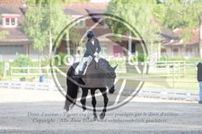ref. photo 3741260