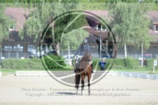 ref. photo 3741266
