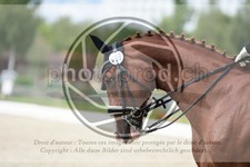 ref. photo 3741286