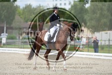 ref. photo 3741292