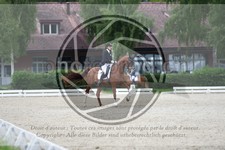 ref. photo 3741304