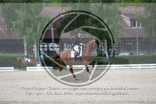 ref. photo 3741305