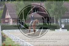 ref. photo 3741318