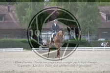 ref. photo 3741320