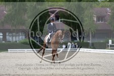 ref. photo 3741321