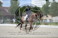 ref. photo 3741322