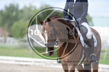 ref. photo 3741326