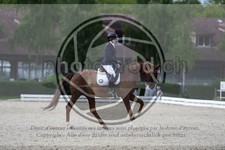 ref. photo 3741328