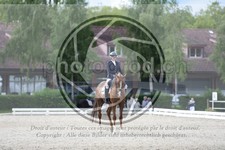 ref. photo 3741332