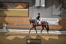 ref. photo 3362331