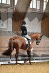 ref. photo 3362339