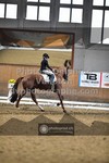 ref. photo 3362350