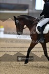 ref. photo 3362370
