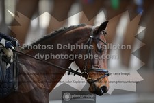 ref. photo 3362423