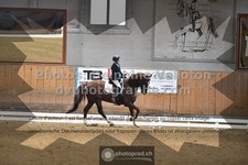 ref. photo 3362470