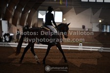 ref. photo 3362497