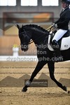 ref. photo 3362539