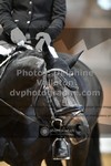 ref. photo 3362544