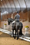 ref. photo 3362552