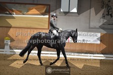 ref. photo 3362554