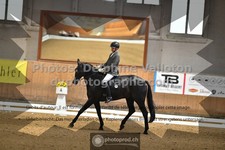ref. photo 3362556